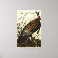 1825 Vintage Wild Turkey
