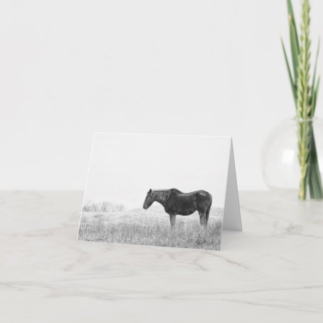 #1866 Wild mustang Thank You Card (Front)
