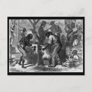 1869 The First cotton-gin African American History Postcard