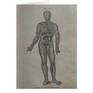 1875 Medical Book Diagram