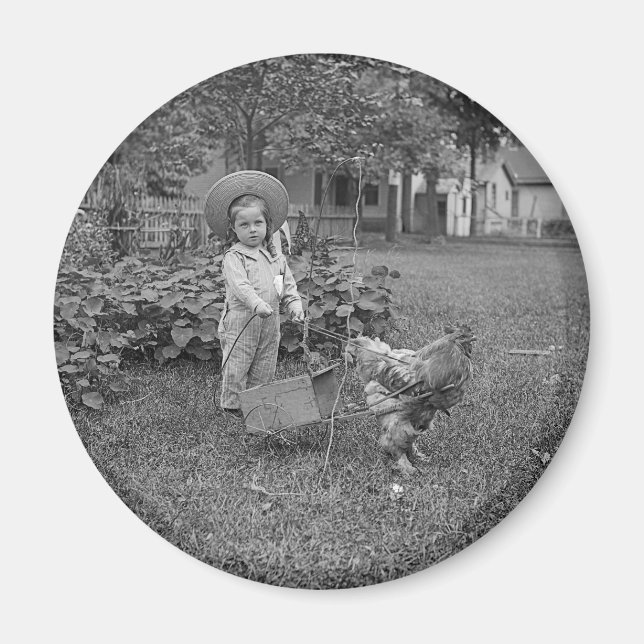 1880's Adorable Girl and Rooster Cart in Garden Magnet (Front)