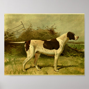 1881 Vintage Pointer Dog Print