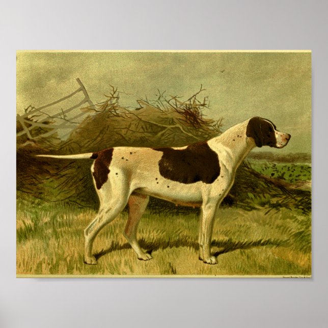 1881 Vintage Pointer Dog Print (Front)