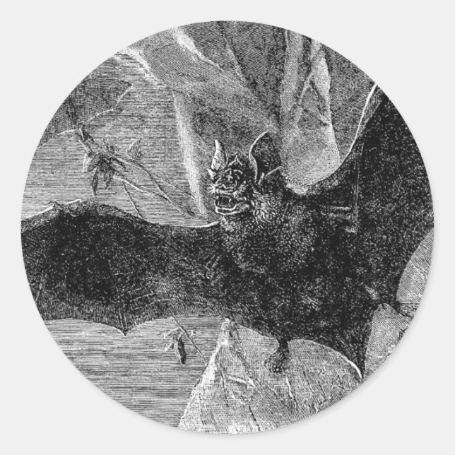 1885 Vampire Bat Illustration Classic Round Sticker (Front)