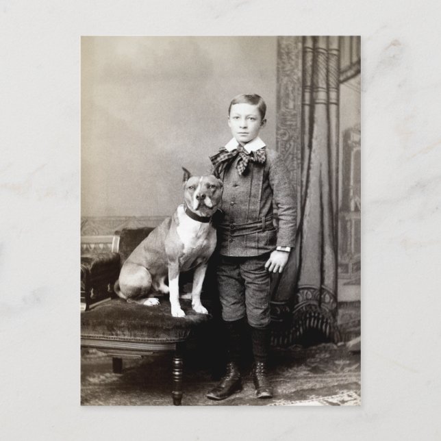 1890 Boy and his American Staffordshire Terrier Postcard (Front)