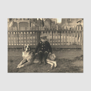 1890's Boy Sitting on St Bernard Dog Photograph Tissue Paper