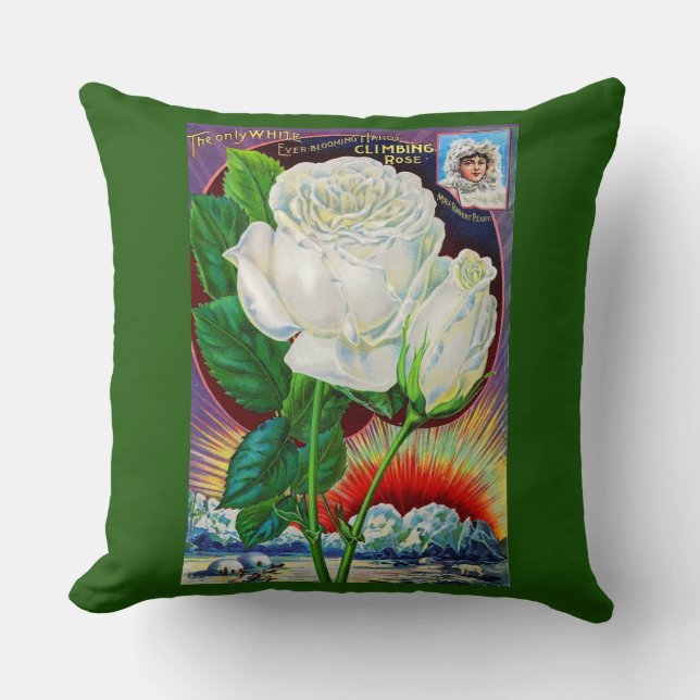 1890s rose catalogue illustration White Rose Cushion (Front)