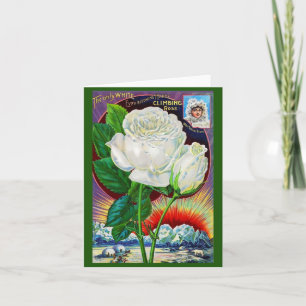 1890s rose catalogue illustration White Rose Note Card