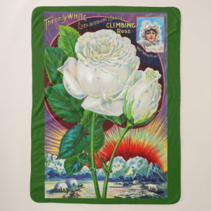 1890s rose catalogue illustration White Rose Sherpa Blanket