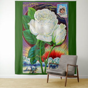 1890s rose catalogue illustration White Rose Tapestry