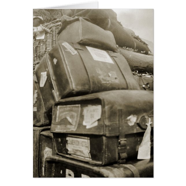 1890's TRAVEL LUGGAGE TEAMSTER WAGON SUITCASE (Front)