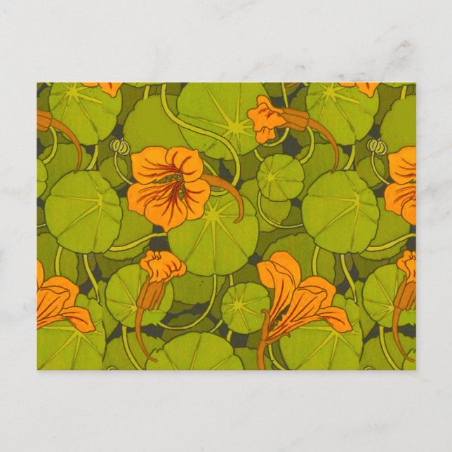 1896 Victorian Nasturtium Floral Print Postcard (Front)