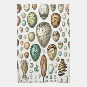1897 ANIMAL EGGS from Meyers Konversations-Lexikon Tea Towel