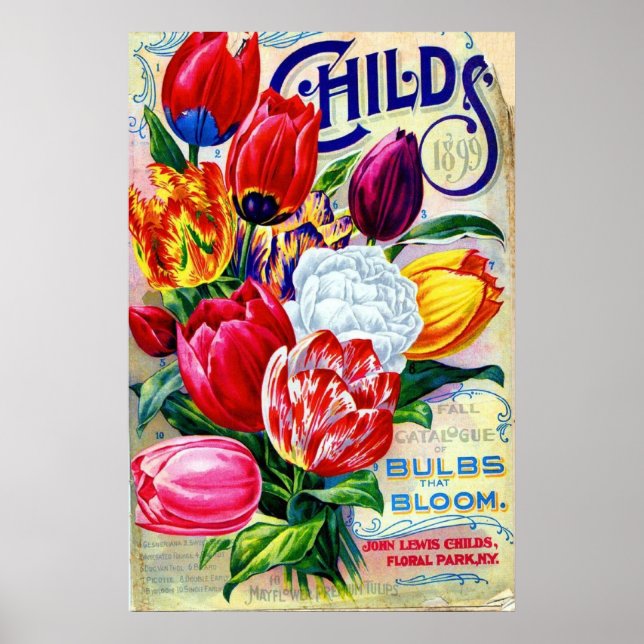 1899 John Lewis Childs Horticulture Floral Vintage Poster (Front)