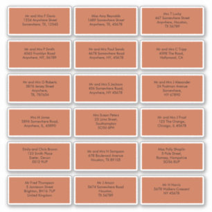 18 Individual Guest Names Addresses Terracotta