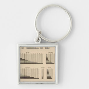18 Population each state Key Ring