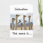 **18** YOU ARE NOW A TEENAGER **GRANDSON** CARD<br><div class="desc">HAPPY BIRTHDAY  ***GRANDSON**** THANKS FOR STOPPING BY ONE OF MY EIGHT STORES!</div>