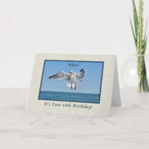 18th Birthday Card with Laughing Gull Bird