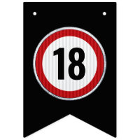 18th Birthday Speed Limit Sign - ANY AGE