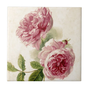 18th Century Pink Rose Study Tile