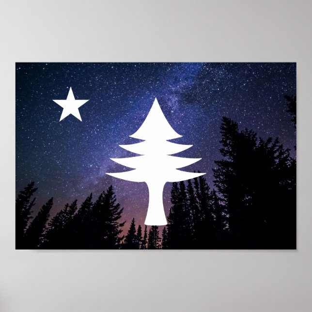 1901 Maine Flag - Starry Night Edition Poster (Front)