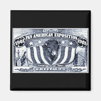 1901 Pan-American Exposition Magnet