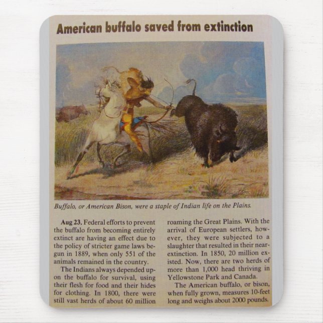 1902  American Buffalo Saved from Extinction Mouse Mat (Front)