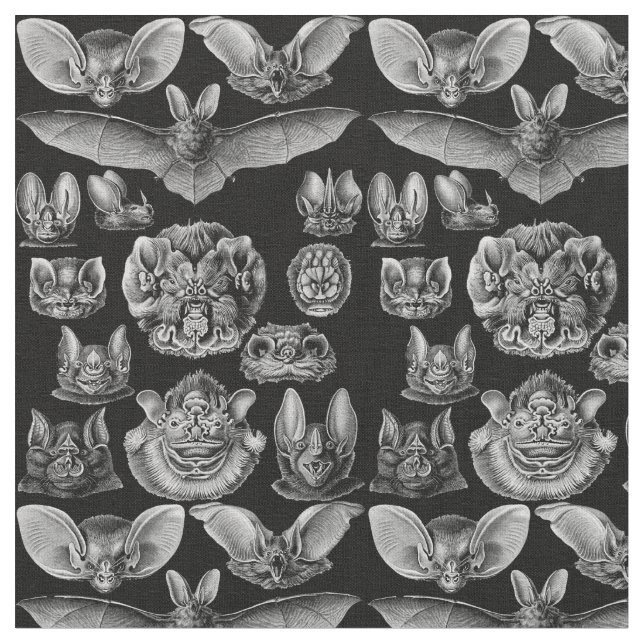1904 Haeckel Chiroptera Fabric (Close Up)