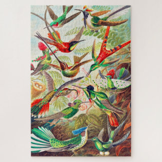 1904 hummingbirds print jigsaw puzzle
