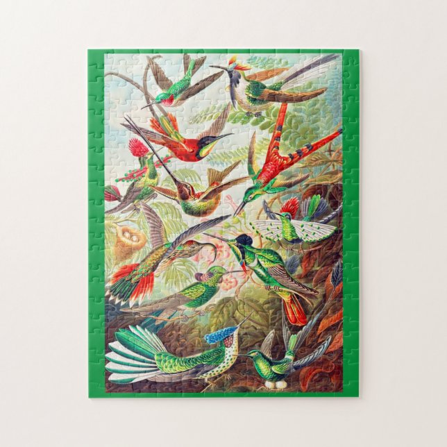 1904 hummingbirds print jigsaw puzzle (Vertical)