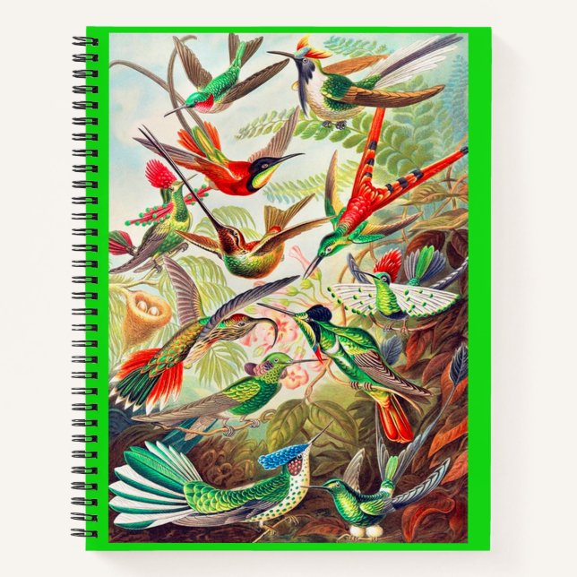 1904 hummingbirds print notebook (Front)