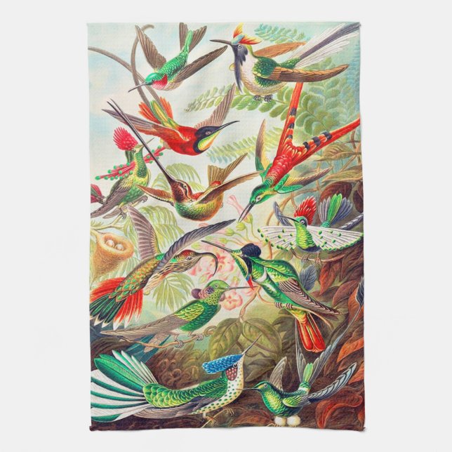 1904 hummingbirds print tea towel (Vertical)