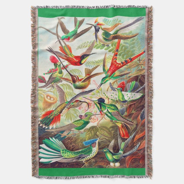 1904 hummingbirds print throw blanket (Front Vertical)