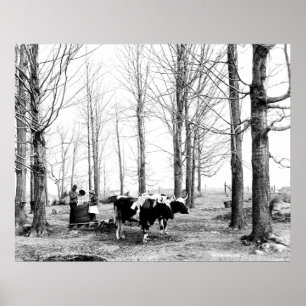 1904 Maple Sugar Camp Vermont Poster