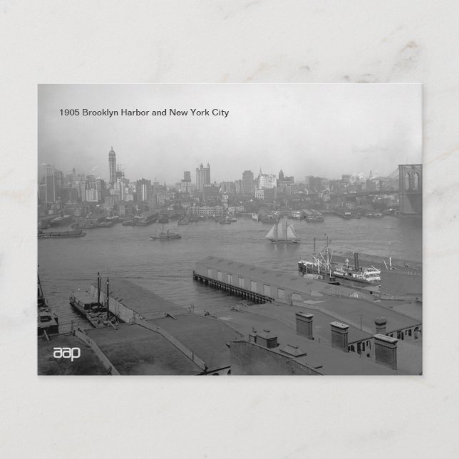 1905 Brooklyn Harbour and New York City Postcard (Front)