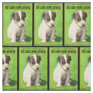 1906 Ladies Home Journal cover puppy print Fabric