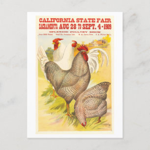 1909 California State Fair Poultry Poster Postcard