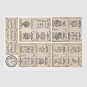 1913 Chelsea Flower Show & Apothecary Collection Tissue Paper