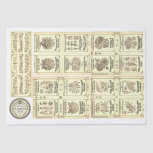 1913 Chelsea Flower Show & Apothecary Collection Tissue Paper