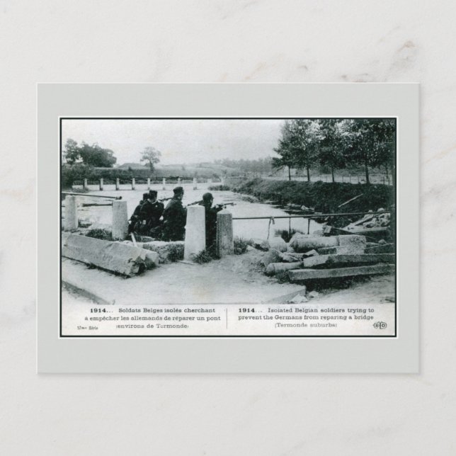 1914 Belgian soldiers in defence near Termonde Postcard (Front)