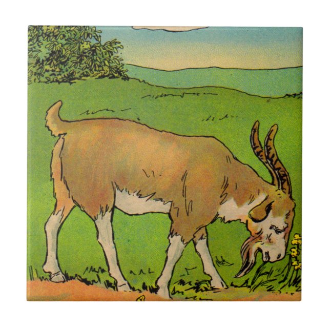 1914 grazing billygoat illustration tile (Front)