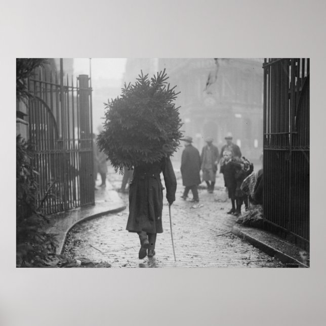 1915: A soldier carrying a christmas tree Poster (Front)