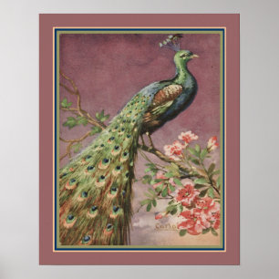 1920's Art Deco Peacock by Carlo Chiostri Poster