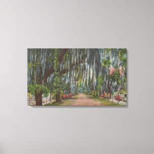 1920s Bonaventure Cemetery, Savannah GEORGIA Canvas Print