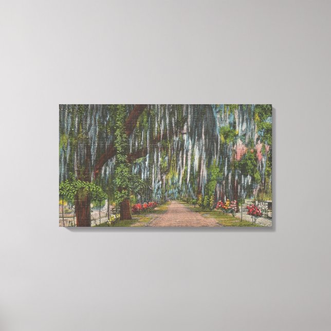 1920s Bonaventure Cemetery, Savannah GEORGIA Canvas Print (Front)
