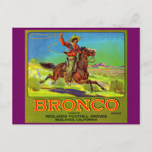 1920s Bronco fruit crate label Postcard