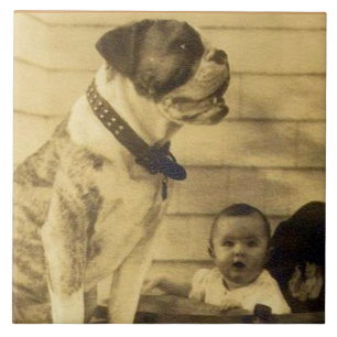 1920s pitbull guards baby tile