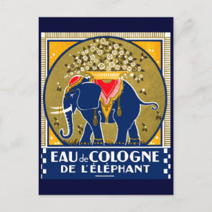 1925 Cologne De L'Elephant Postcard