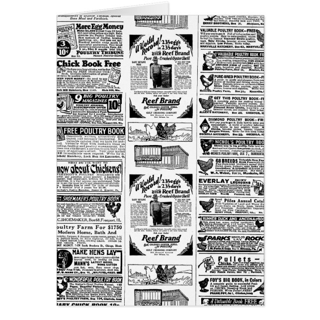 1928 Chicken Ads (Front)