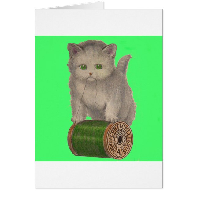 1930 Corticelli white kitten (Front)